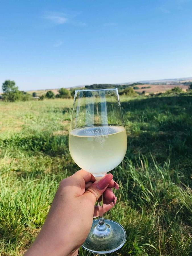 Apartmany Vinarstvi Klucov Lstibor Dış mekan fotoğraf